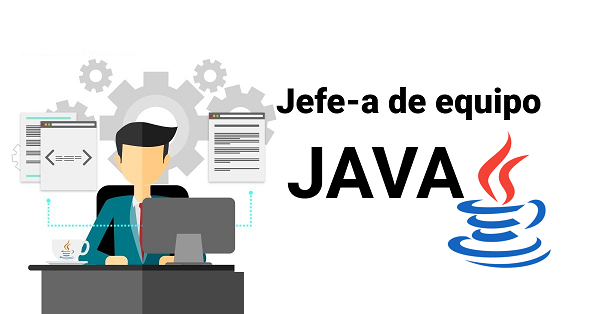 jefe de equipo desarrollador java